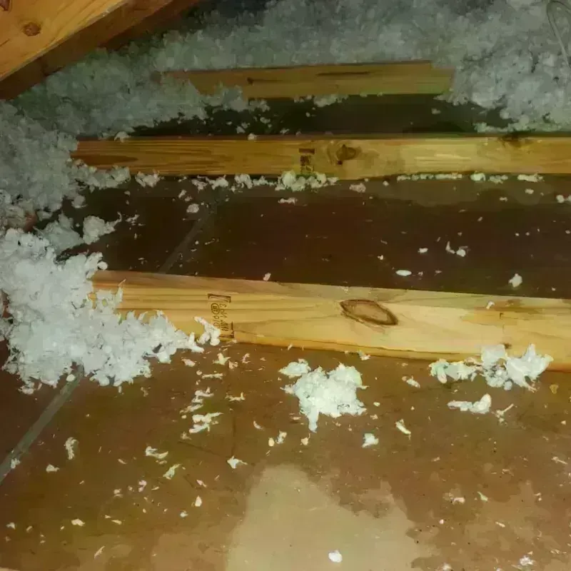 Attic Water Damage in Trigg County, KY